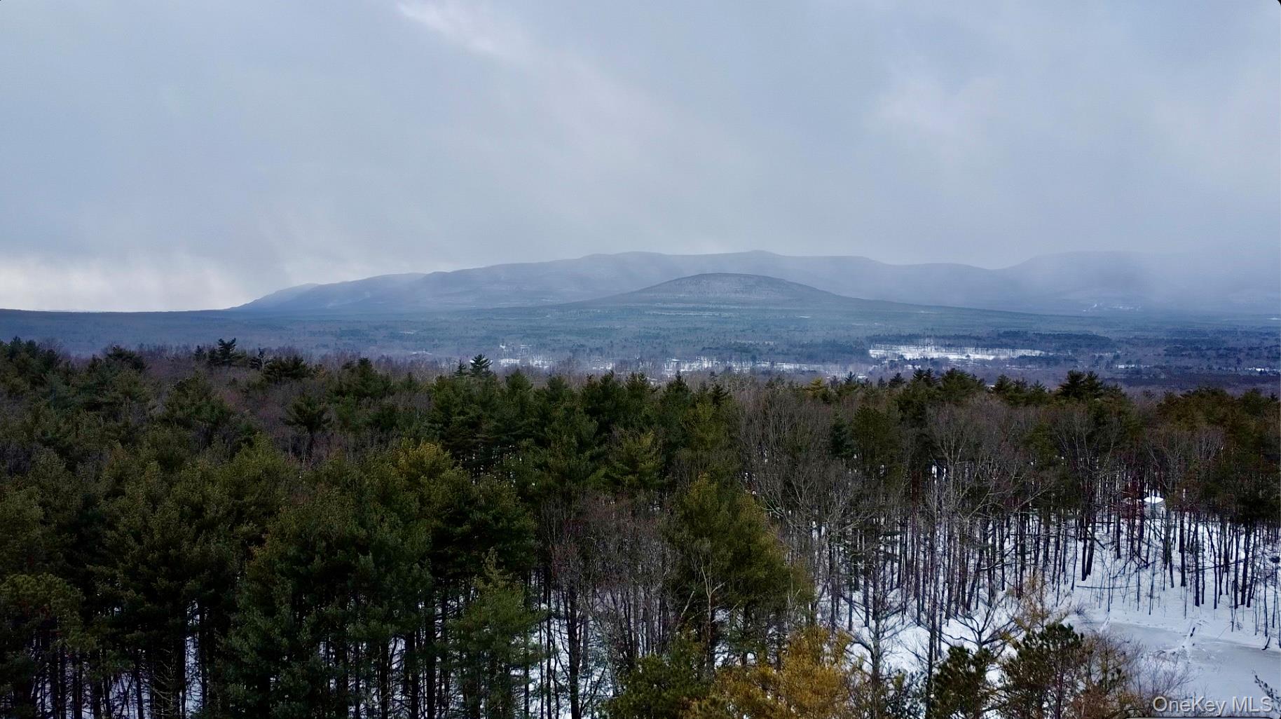 95 Pine Tree Lane, Cairo, NY 12413