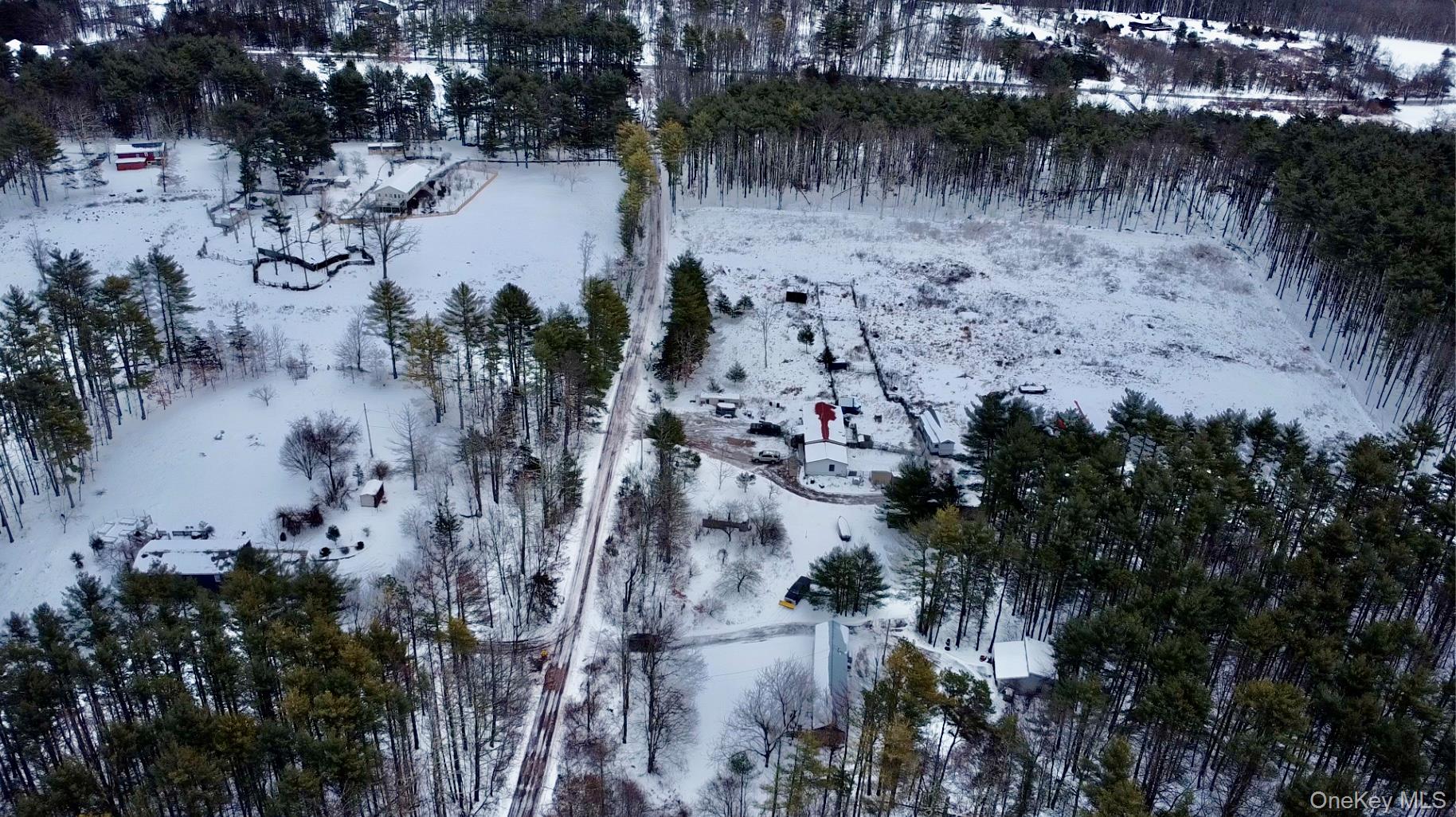 95 Pine Tree Lane, Cairo, NY 12413