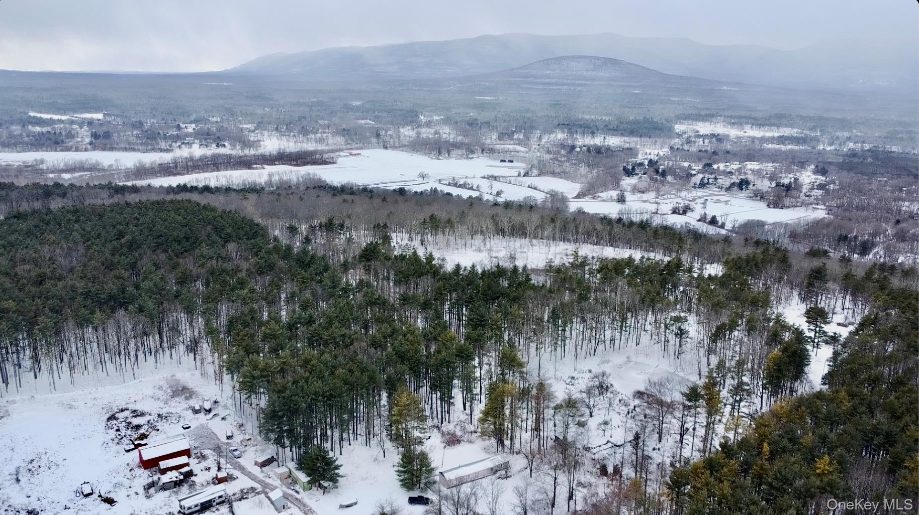 95 Pine Tree Lane, Cairo, NY 12413