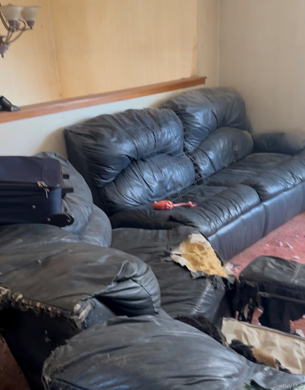 11 Taurgo Lane, Centereach, NY 11720