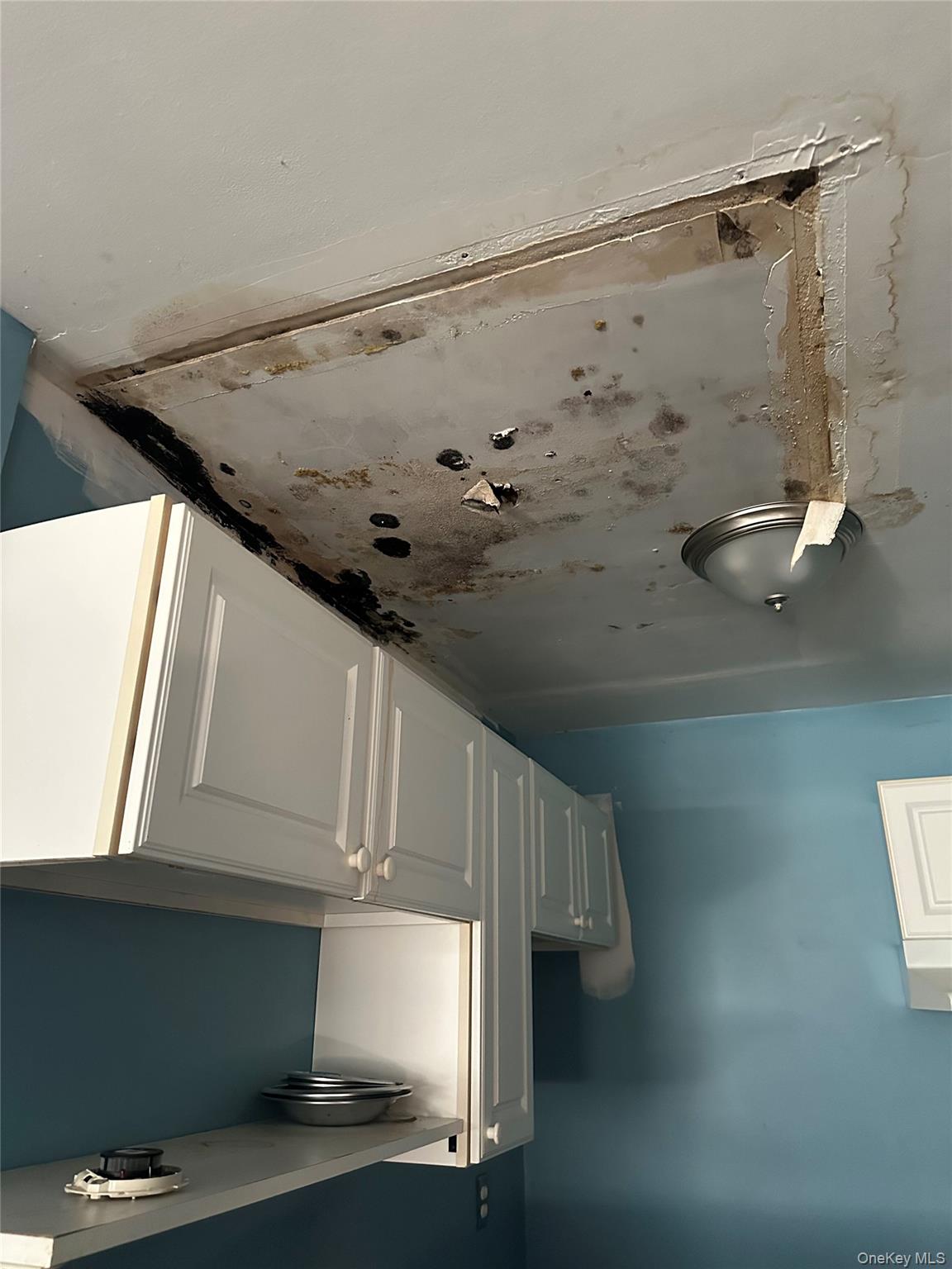 11 Taurgo Lane, Centereach, NY 11720