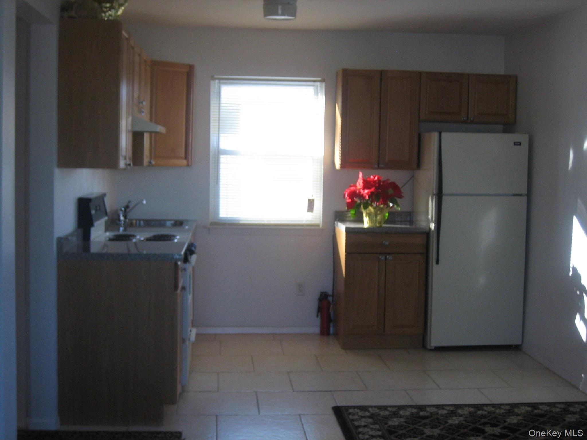 235 Fieldmere Street, Elmont, NY 11003