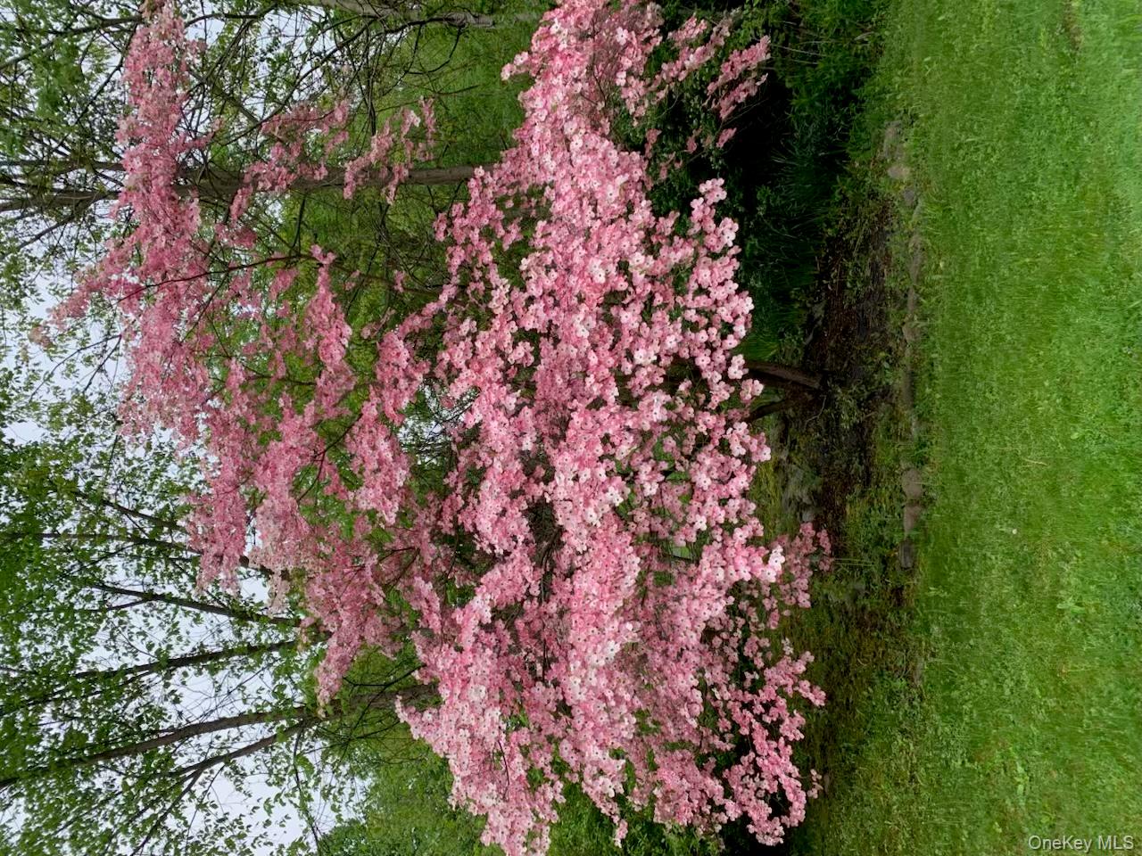 6 Jill Marie Circle, Wallkill, NY 12589