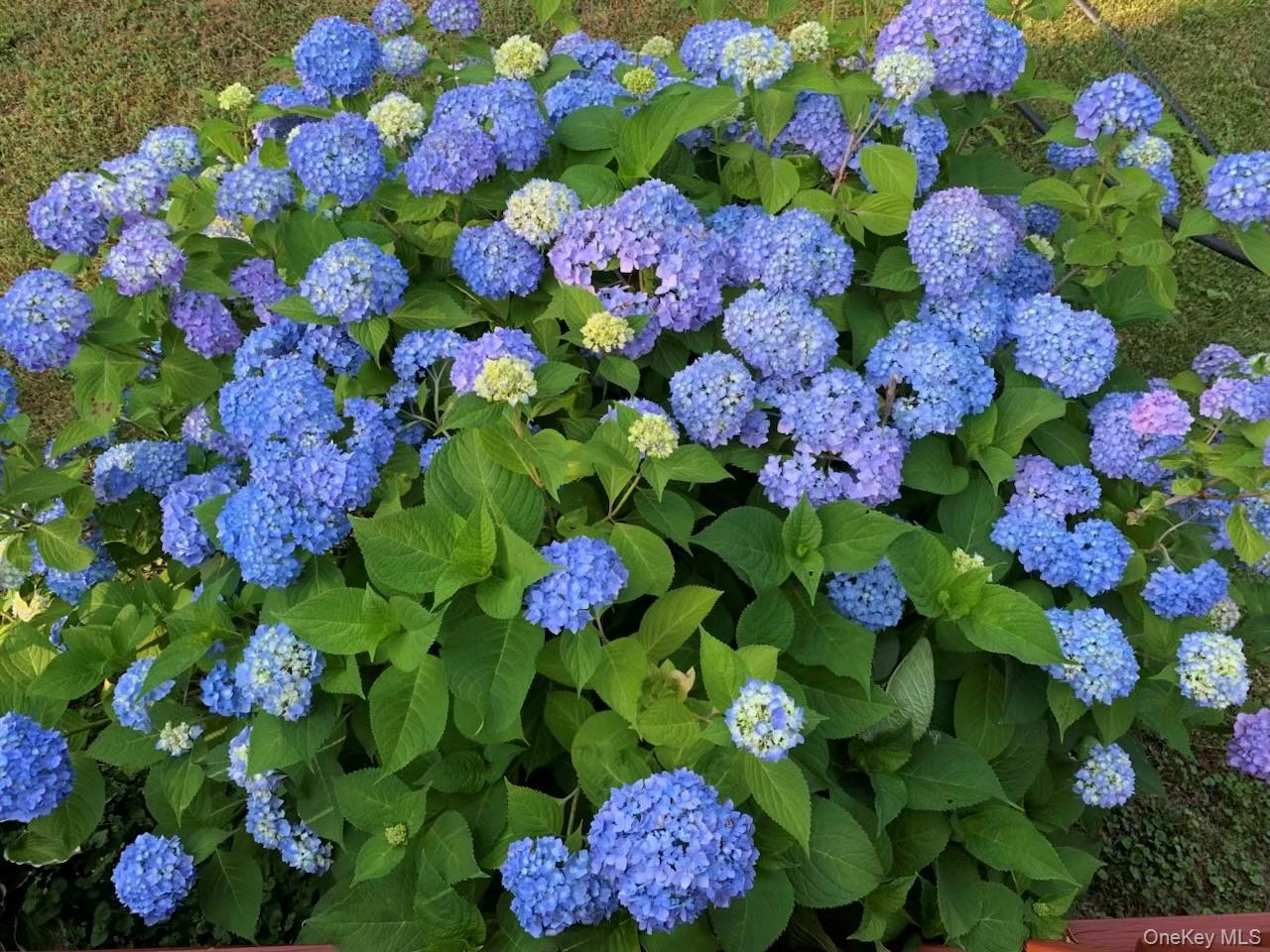 6 Jill Marie Circle, Wallkill, NY 12589