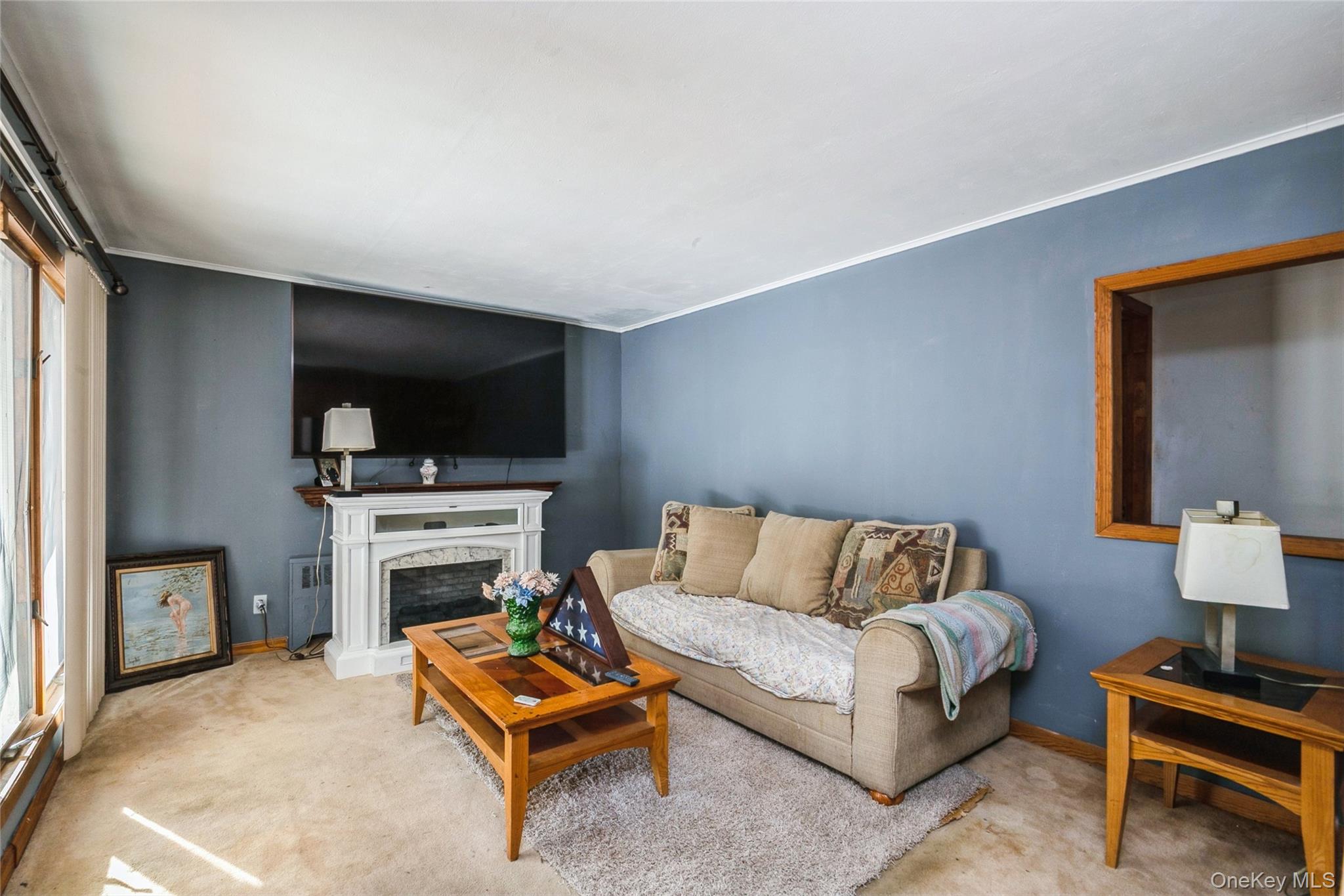 5 Scherer Street, Bethpage, NY 11714