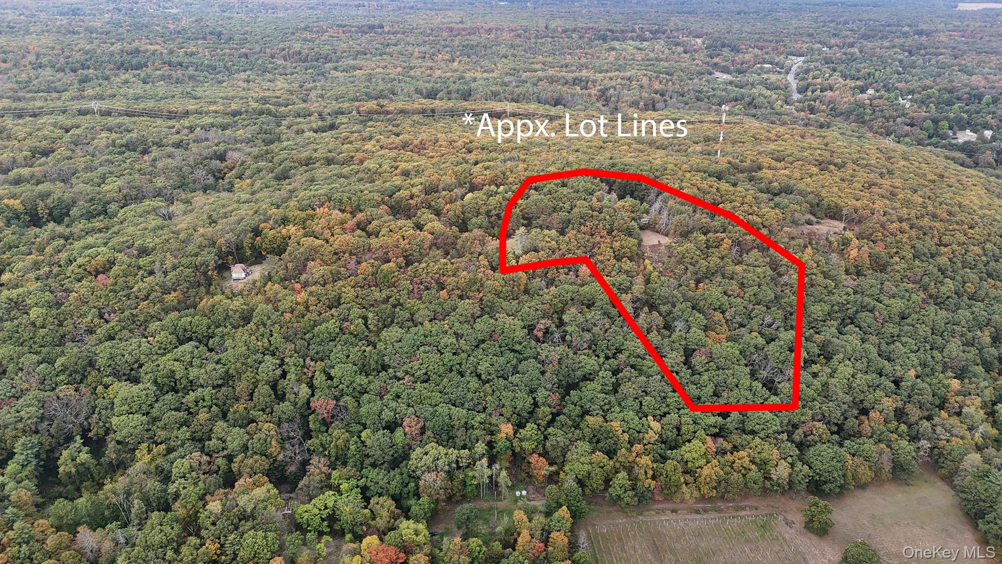 157 Mount Airy, Saugerties, NY 12477