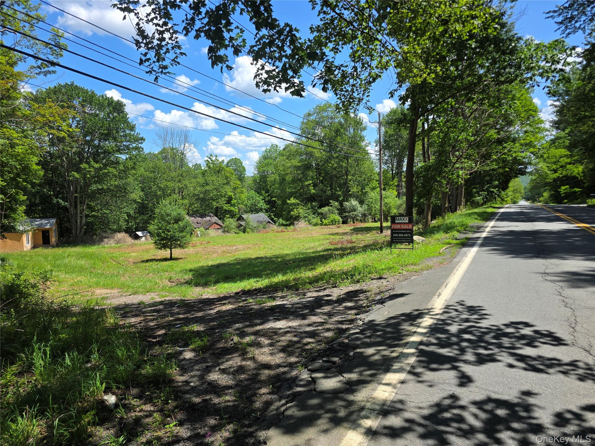 1094 Old Route 17, Harris, NY 12742