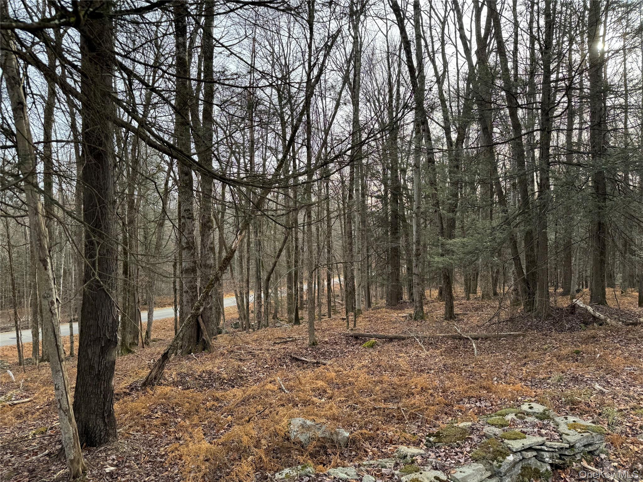 Hilltop Road, Monticello, NY 12701