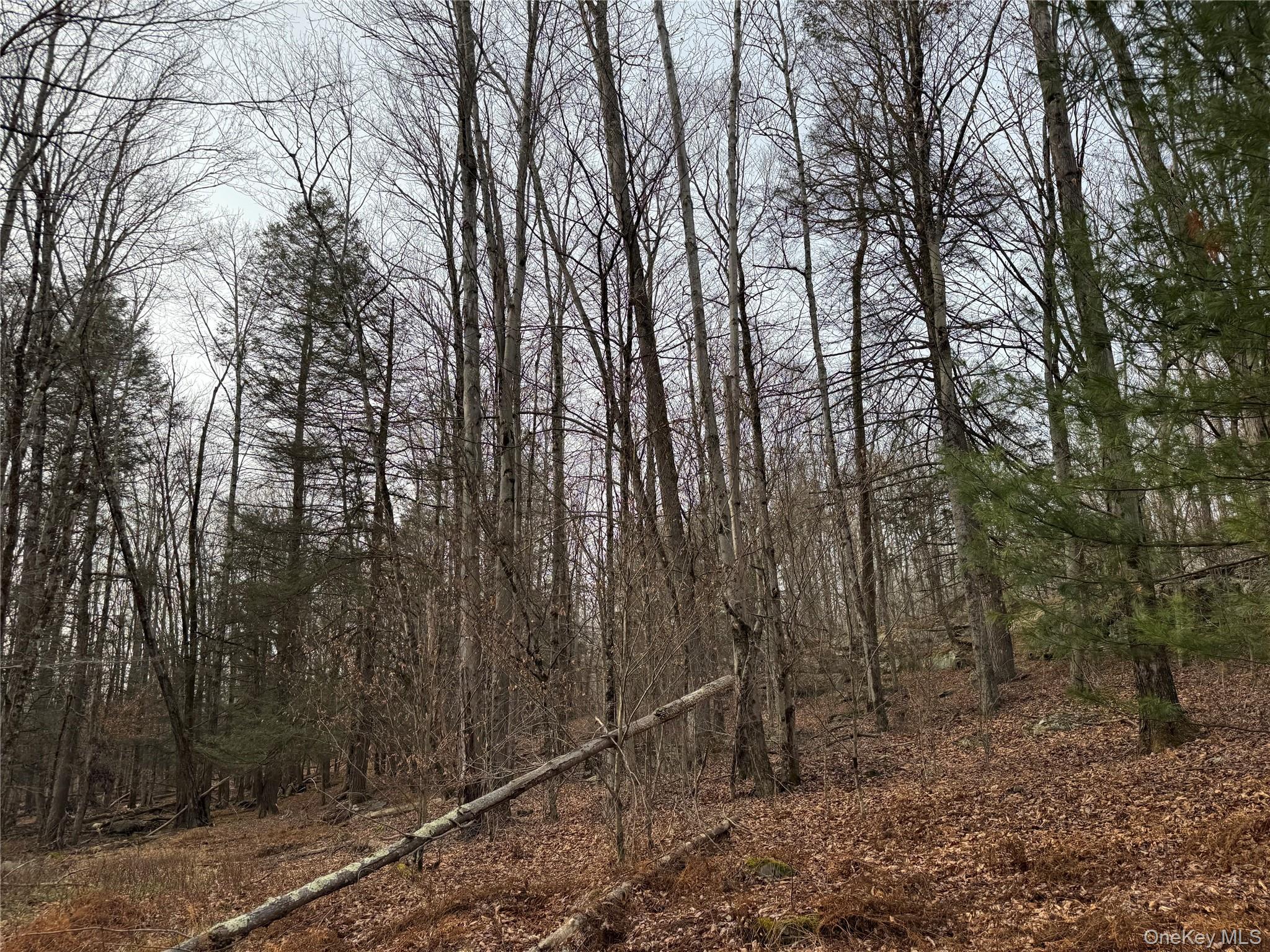 Hilltop Road, Monticello, NY 12701