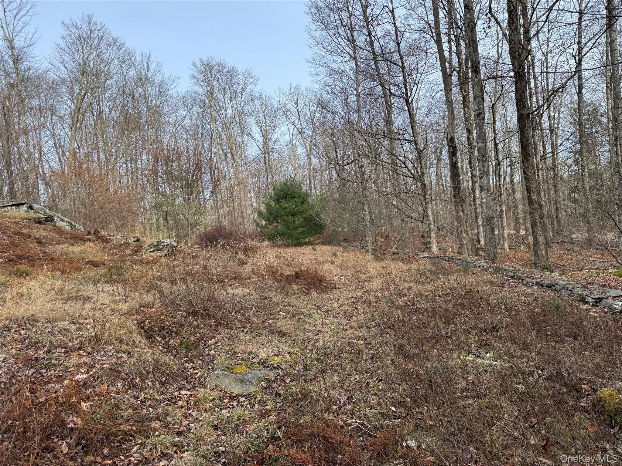 Hilltop Road, Monticello, NY 12701