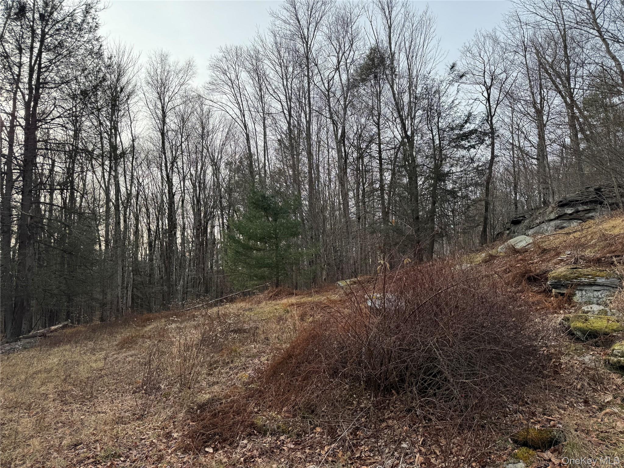 Hilltop Road, Monticello, NY 12701