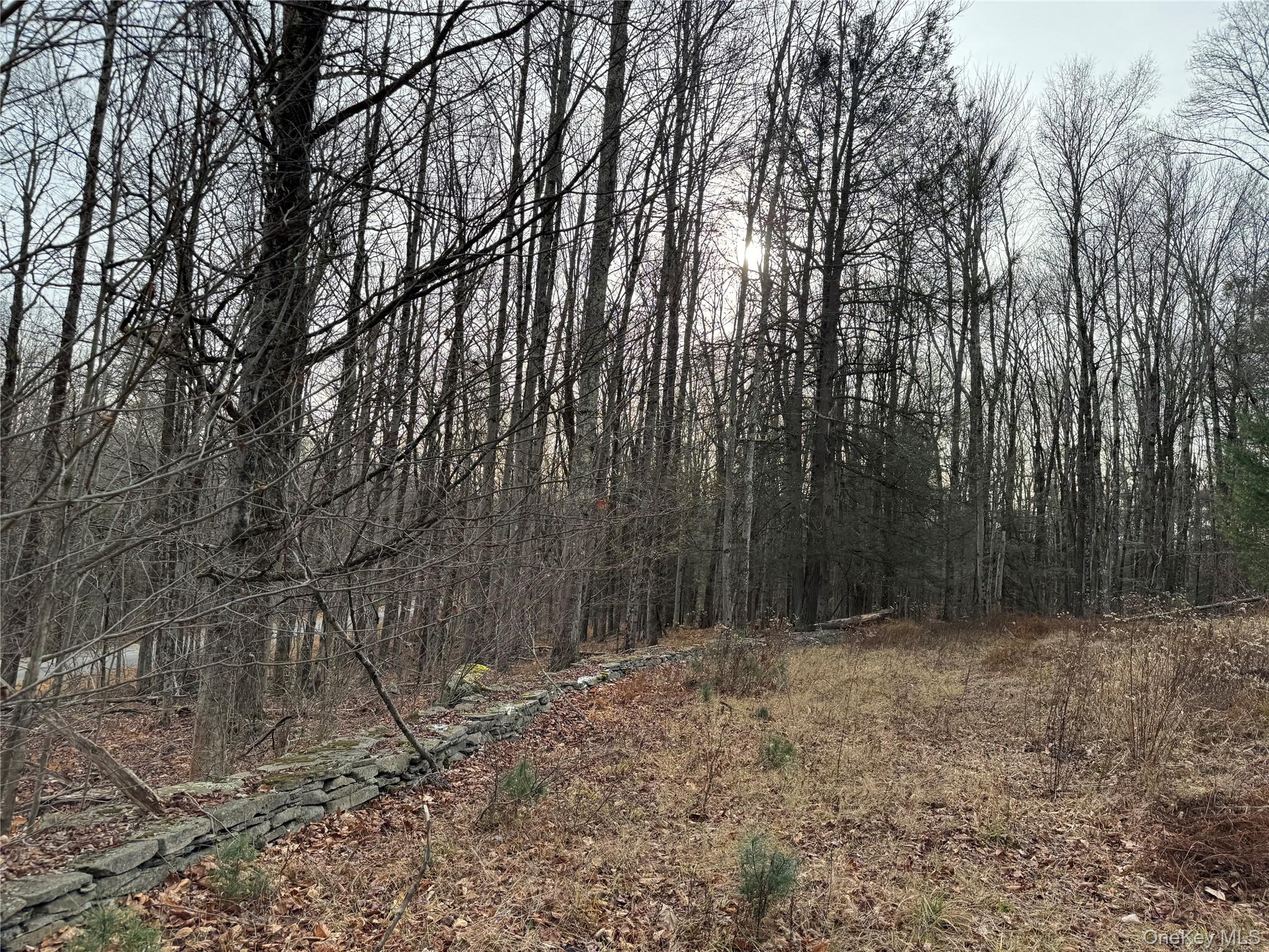 Hilltop Road, Monticello, NY 12701