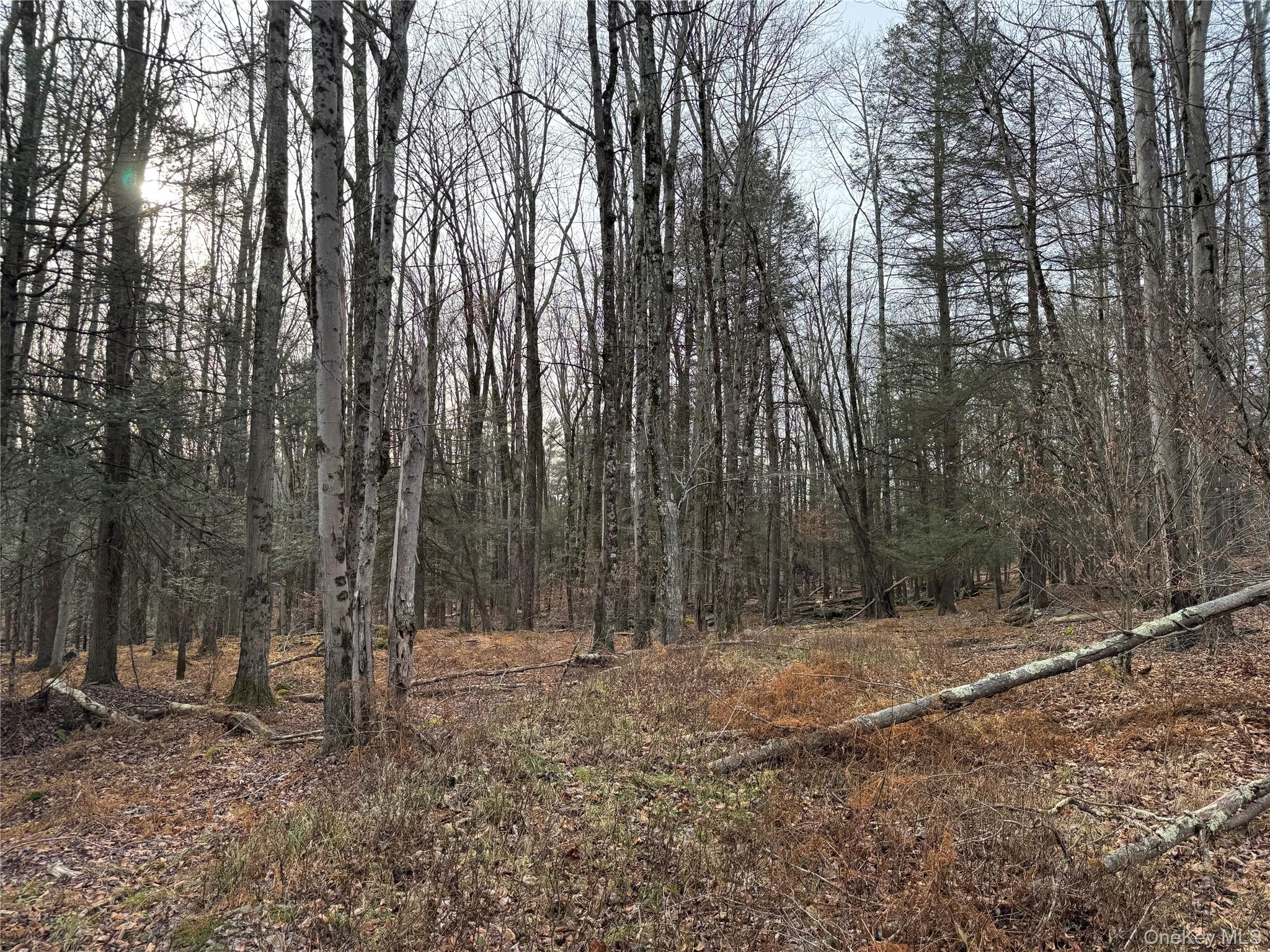 Hilltop Road, Monticello, NY 12701