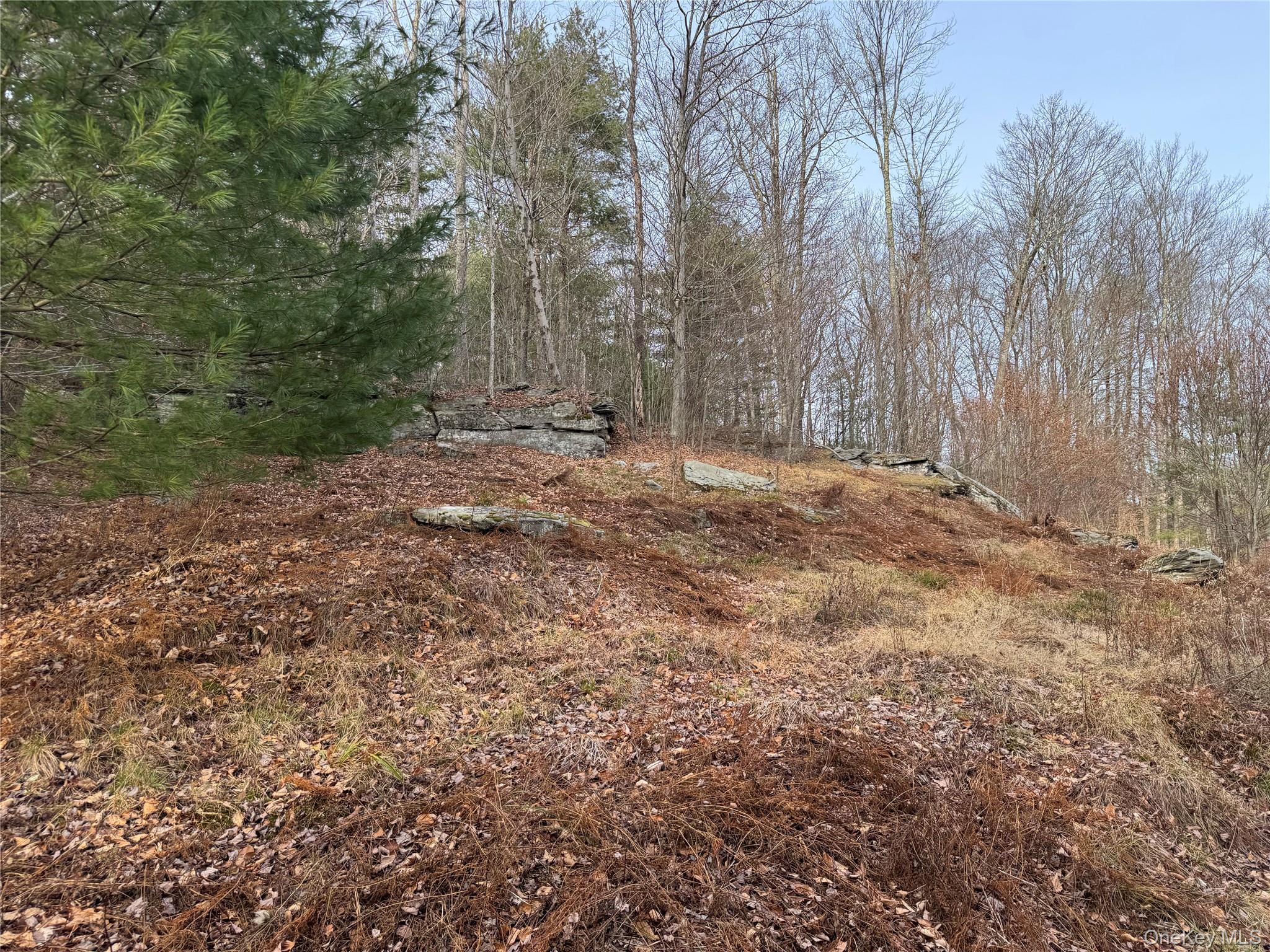 Hilltop Road, Monticello, NY 12701