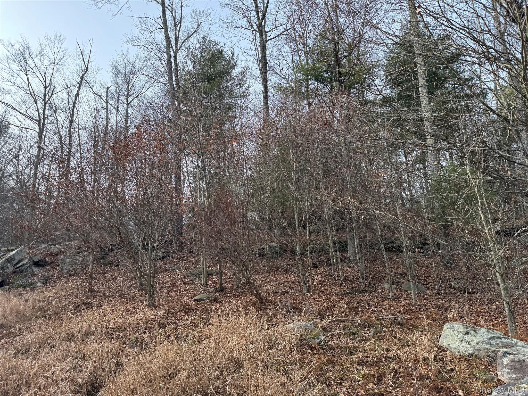 Hilltop Road, Monticello, NY 12701