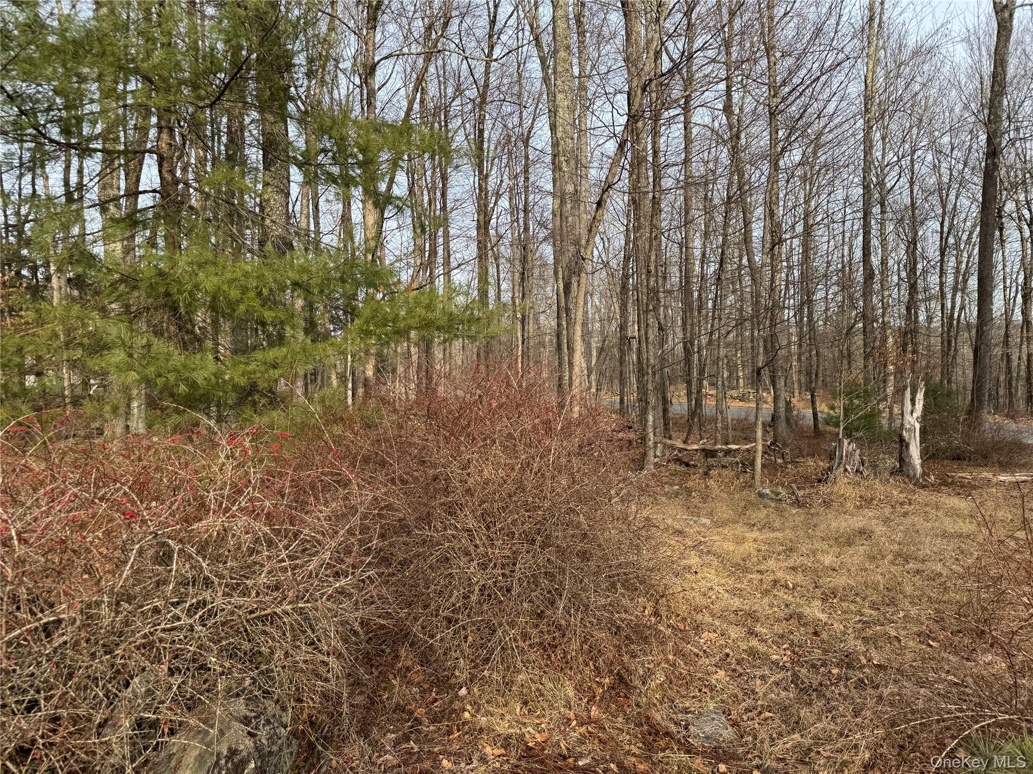 Hilltop Road, Monticello, NY 12701