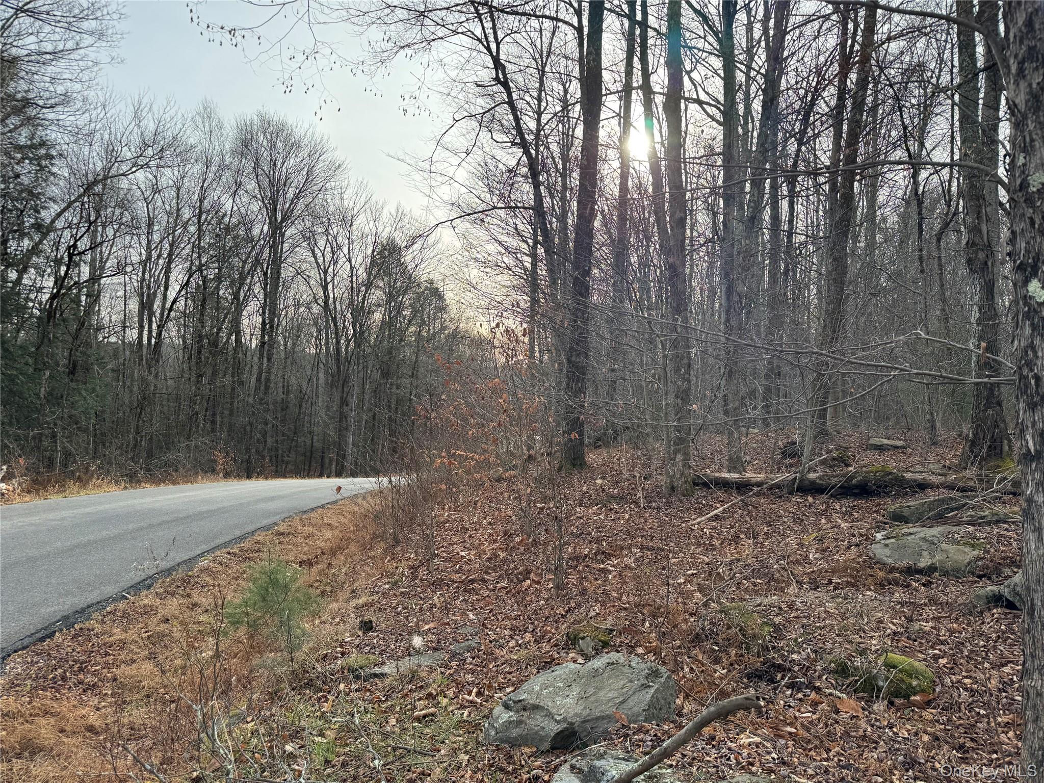 Hilltop Road, Monticello, NY 12701