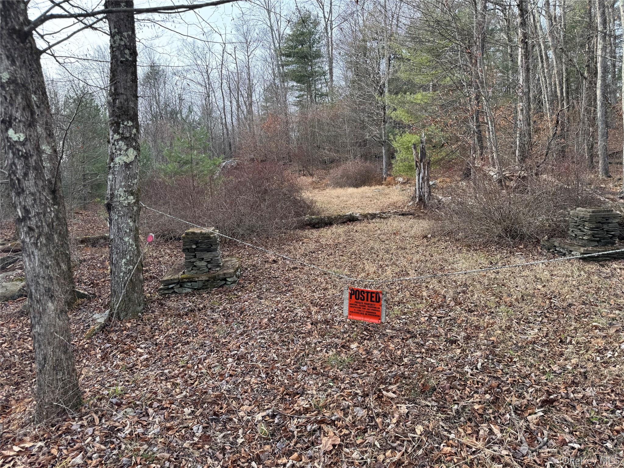 Hilltop Road, Monticello, NY 12701