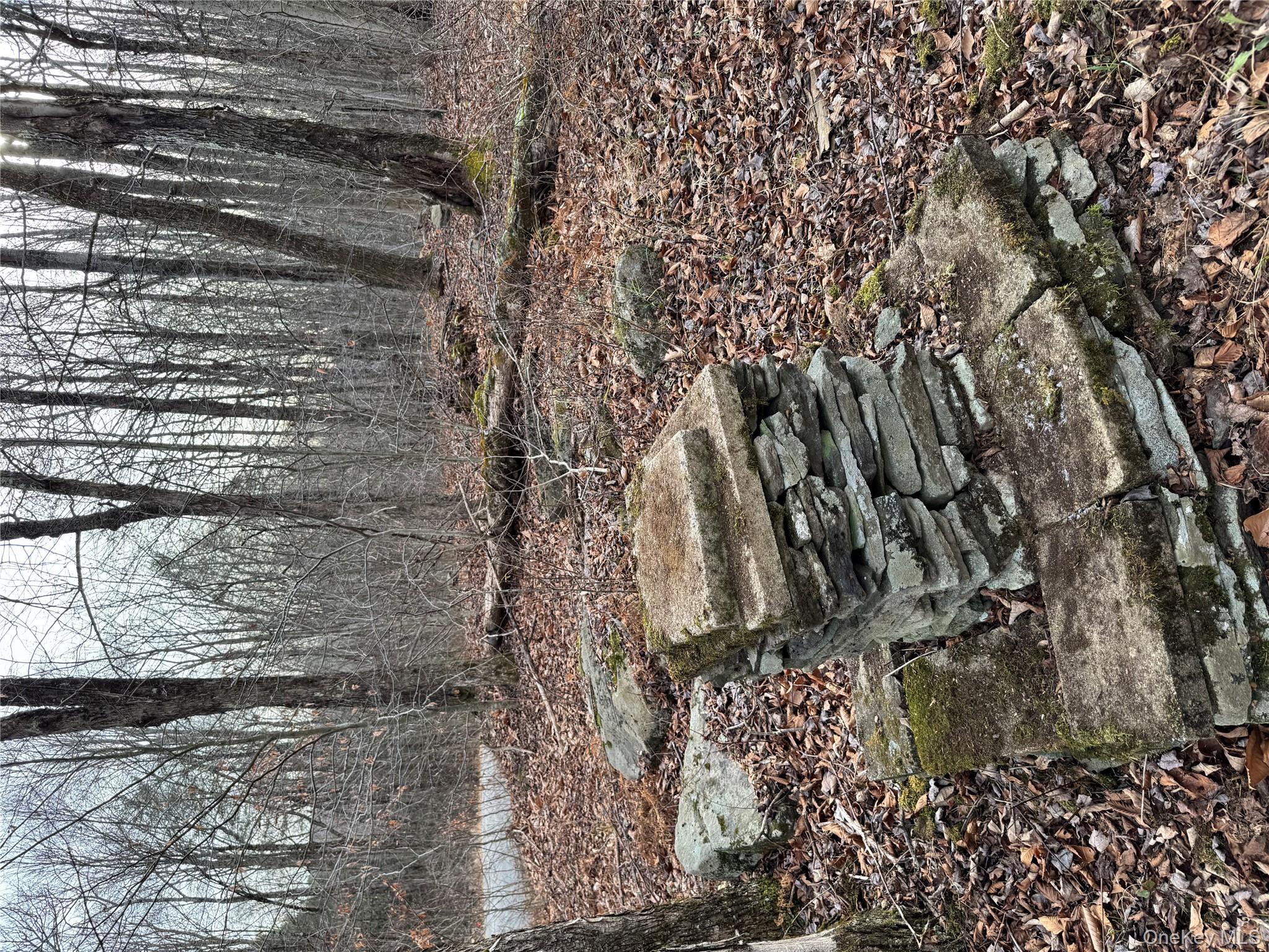 Hilltop Road, Monticello, NY 12701