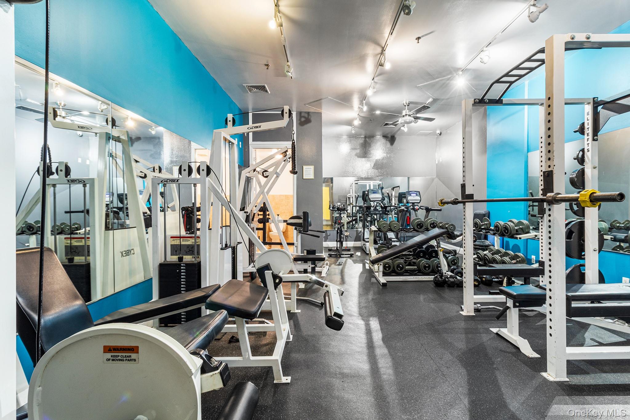 176 Johnson Street # 3C, Brooklyn, NY 11201