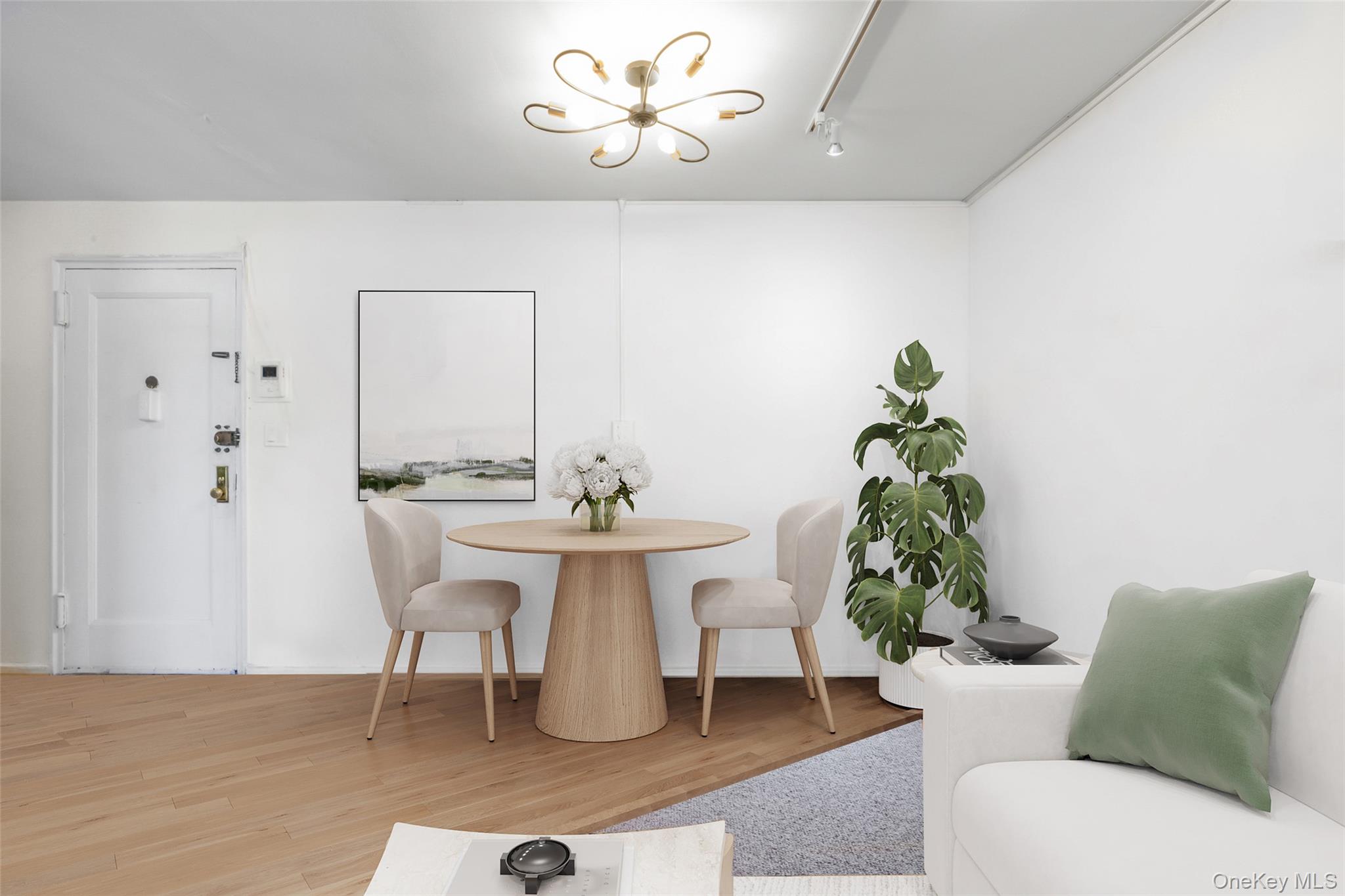 46 Terrace Circle # 3F, Great Neck, NY 11021