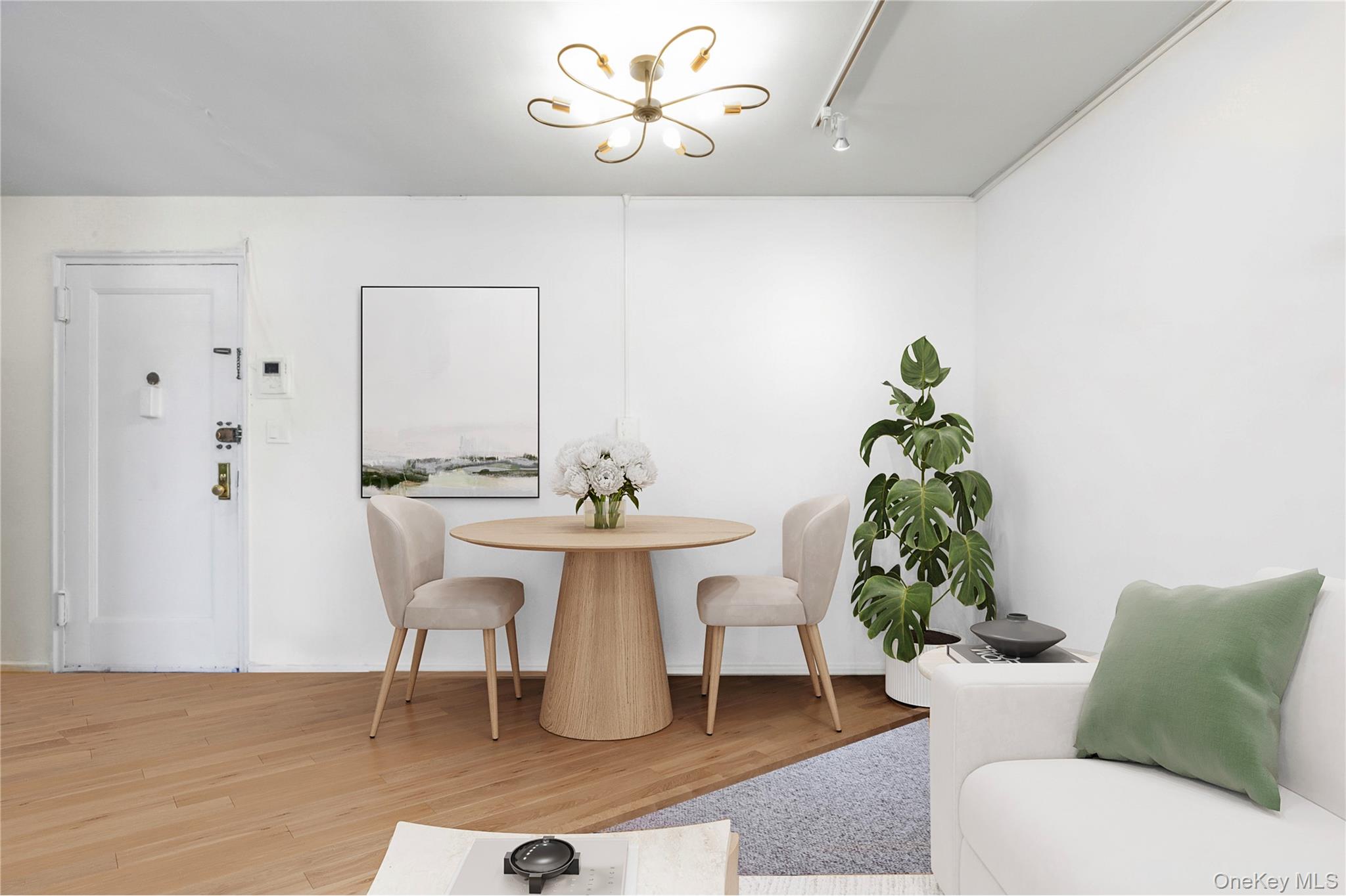 46 Terrace Circle # 3F, Great Neck, NY 11021