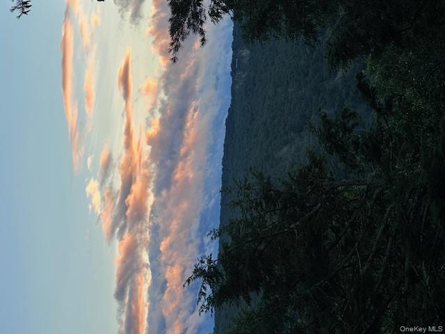 385 Evergreen Lane, Narrowsburg, NY 12764