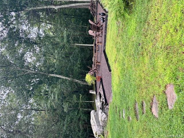 385 Evergreen Lane, Narrowsburg, NY 12764