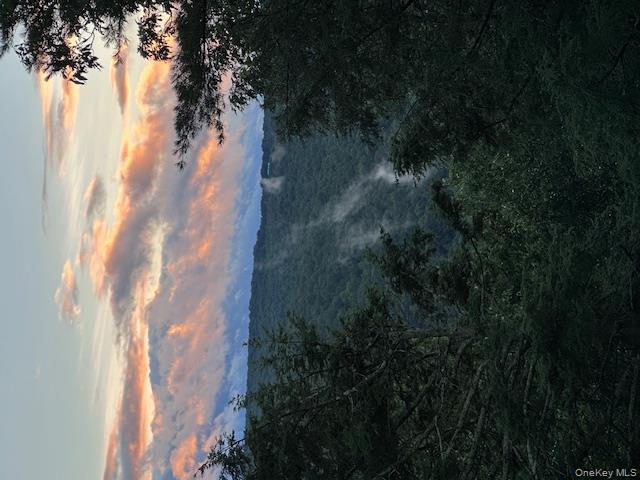 385 Evergreen Lane, Narrowsburg, NY 12764