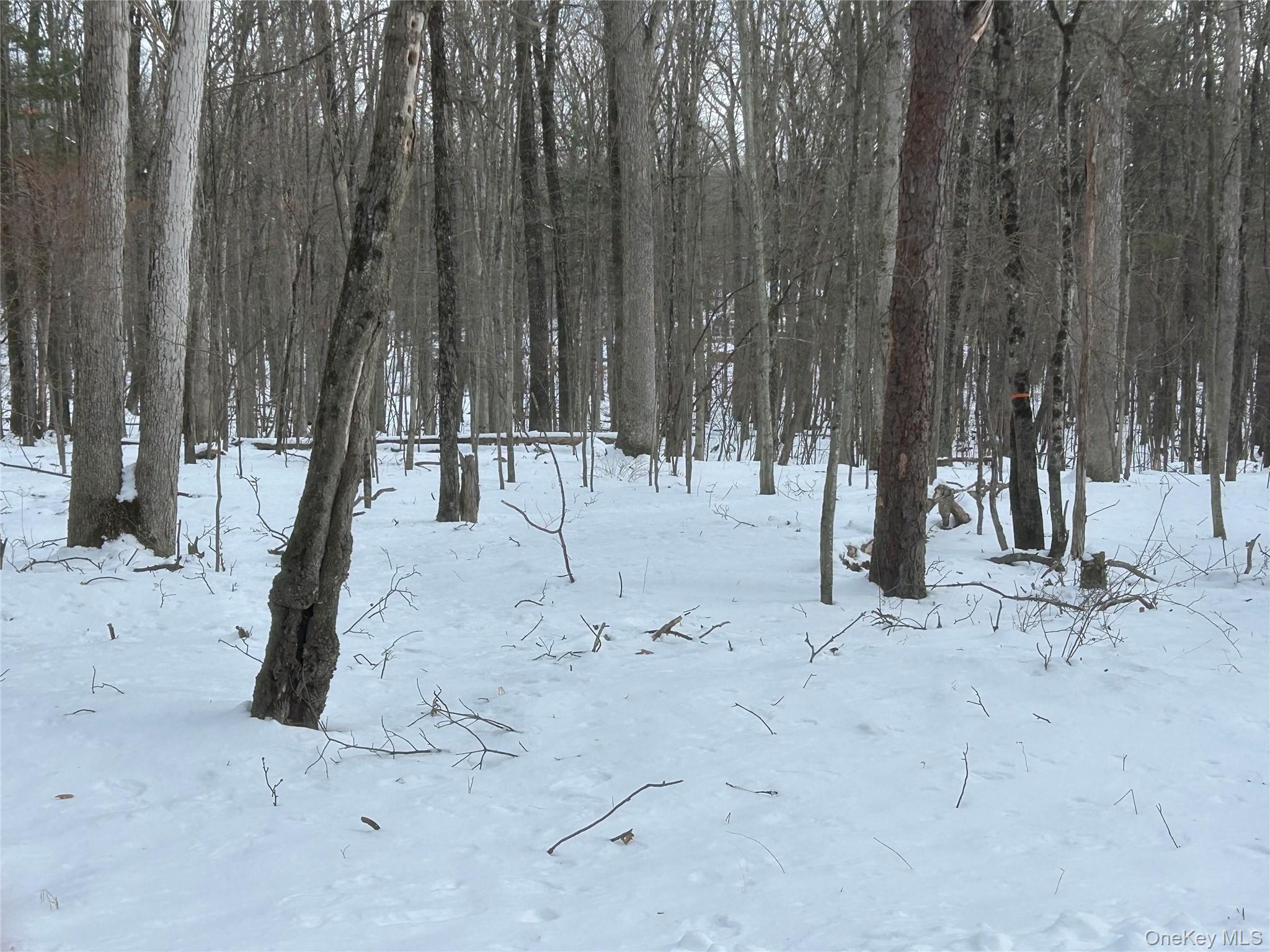 Purple Sage Drive, Barryville, NY 12719