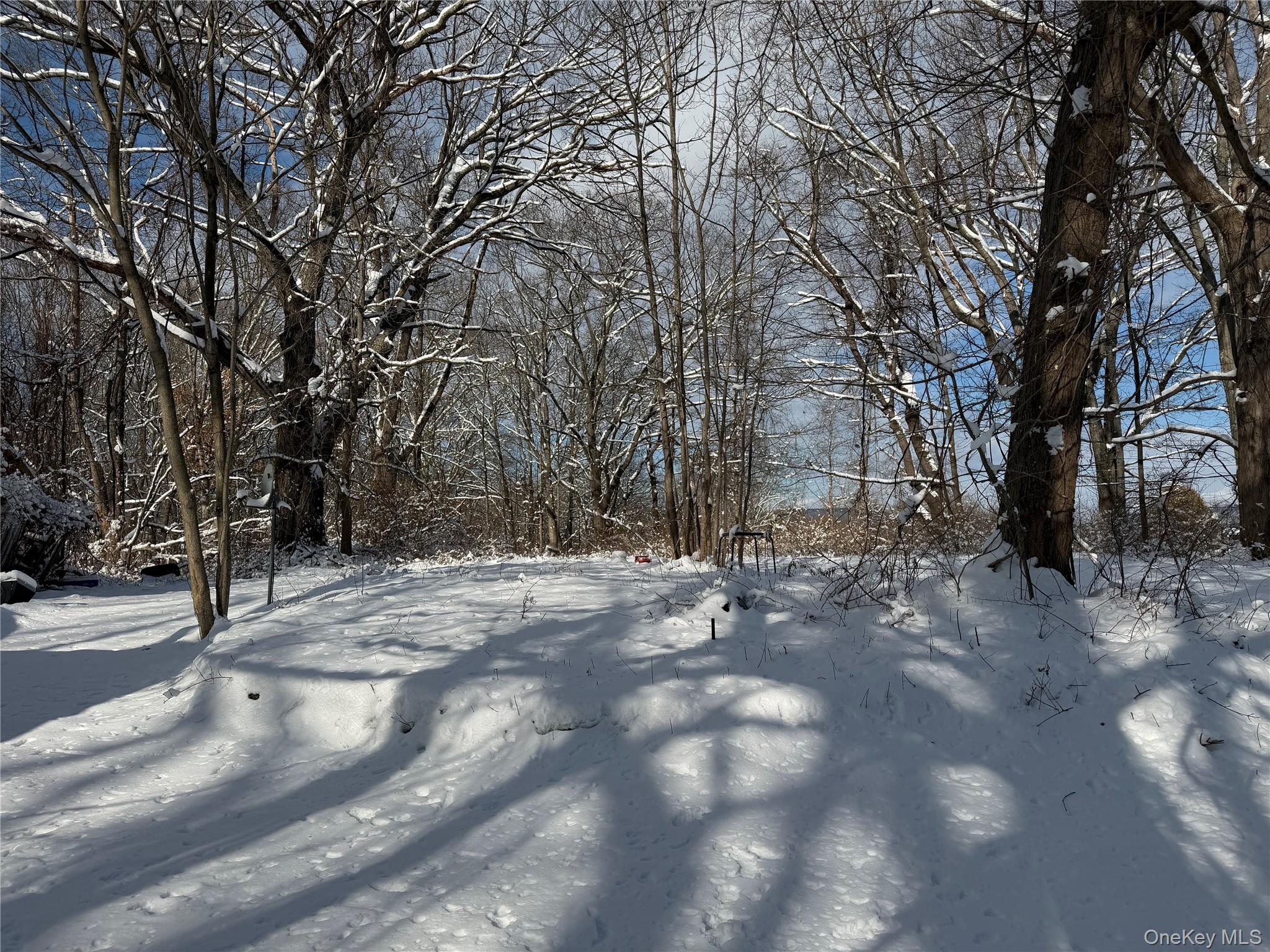 165 Fairfield Drive, Brewster, NY 10509