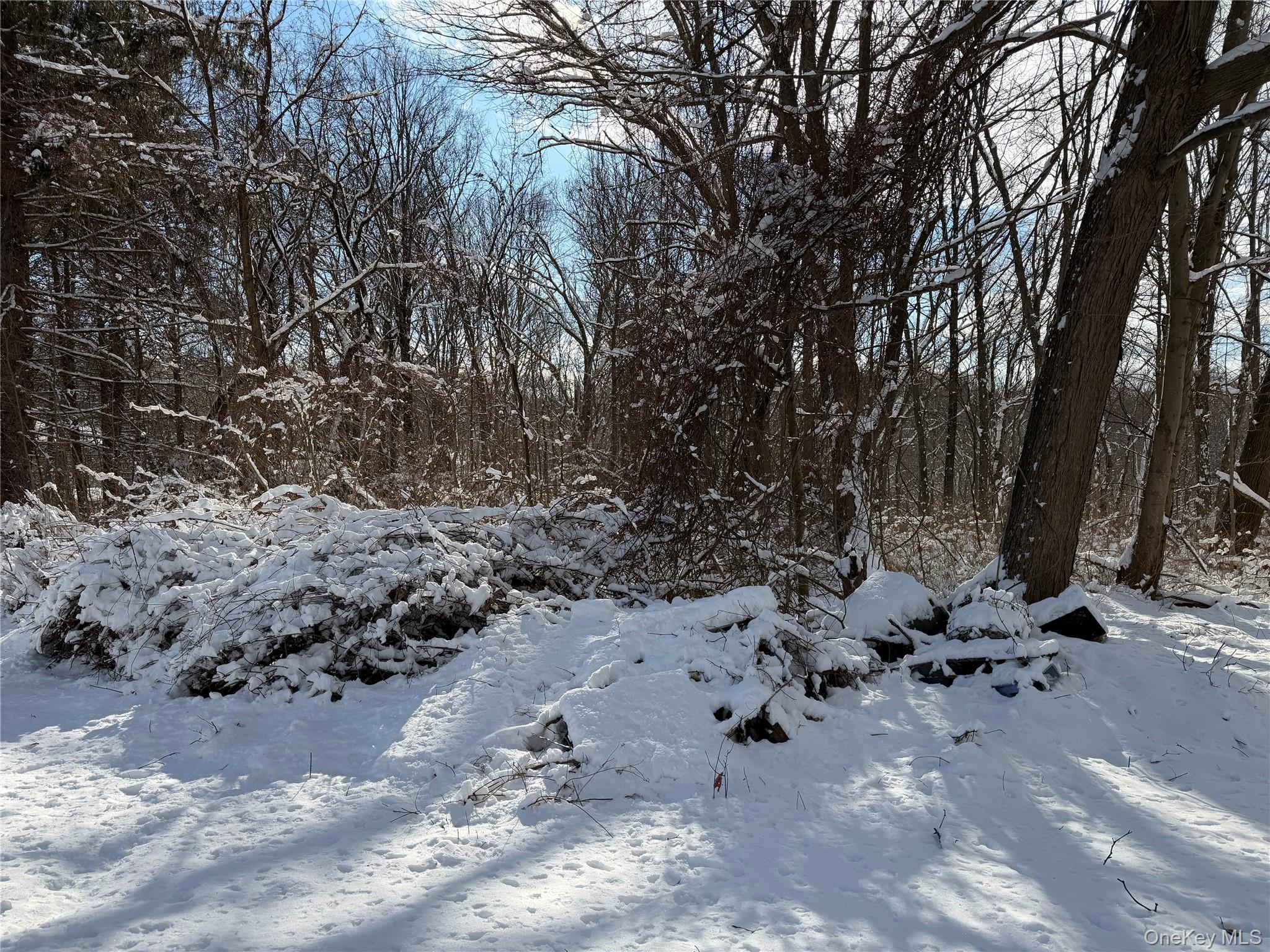 165 Fairfield Drive, Brewster, NY 10509