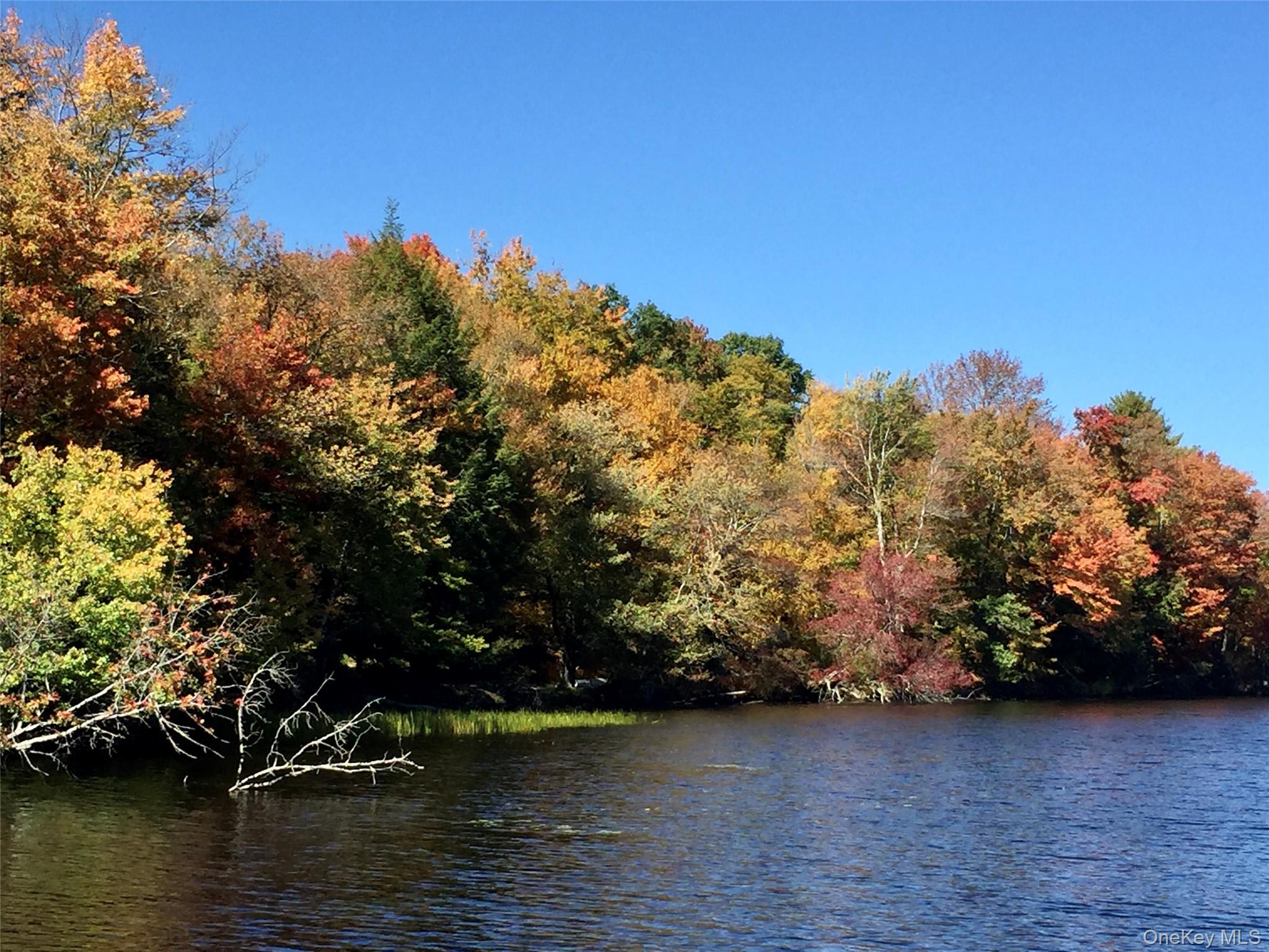 9 Canterbury Court, White Lake, NY 12720