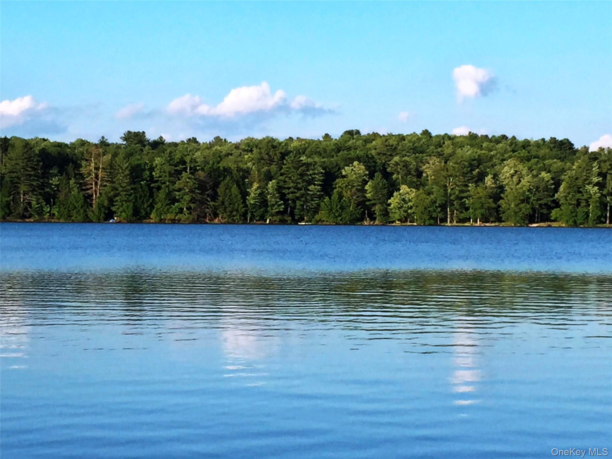 9 Canterbury Court, White Lake, NY 12720