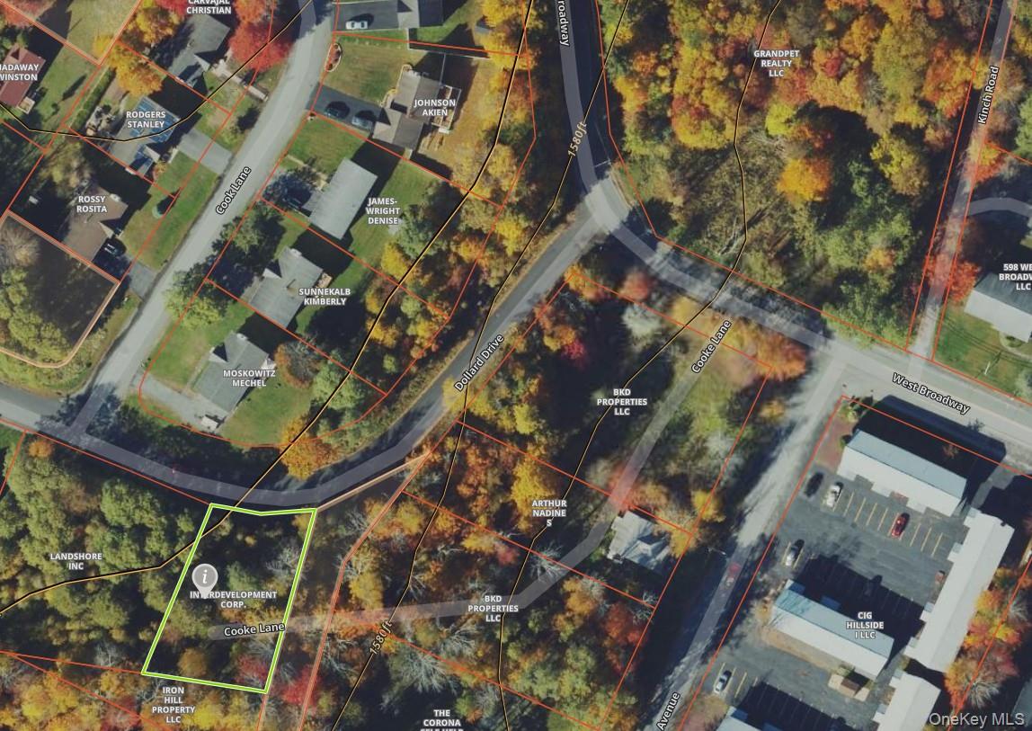 Dollard Drive, Monticello, NY 12701