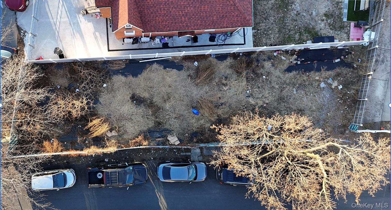 3169 Wissman Avenue, Bronx, NY 10465