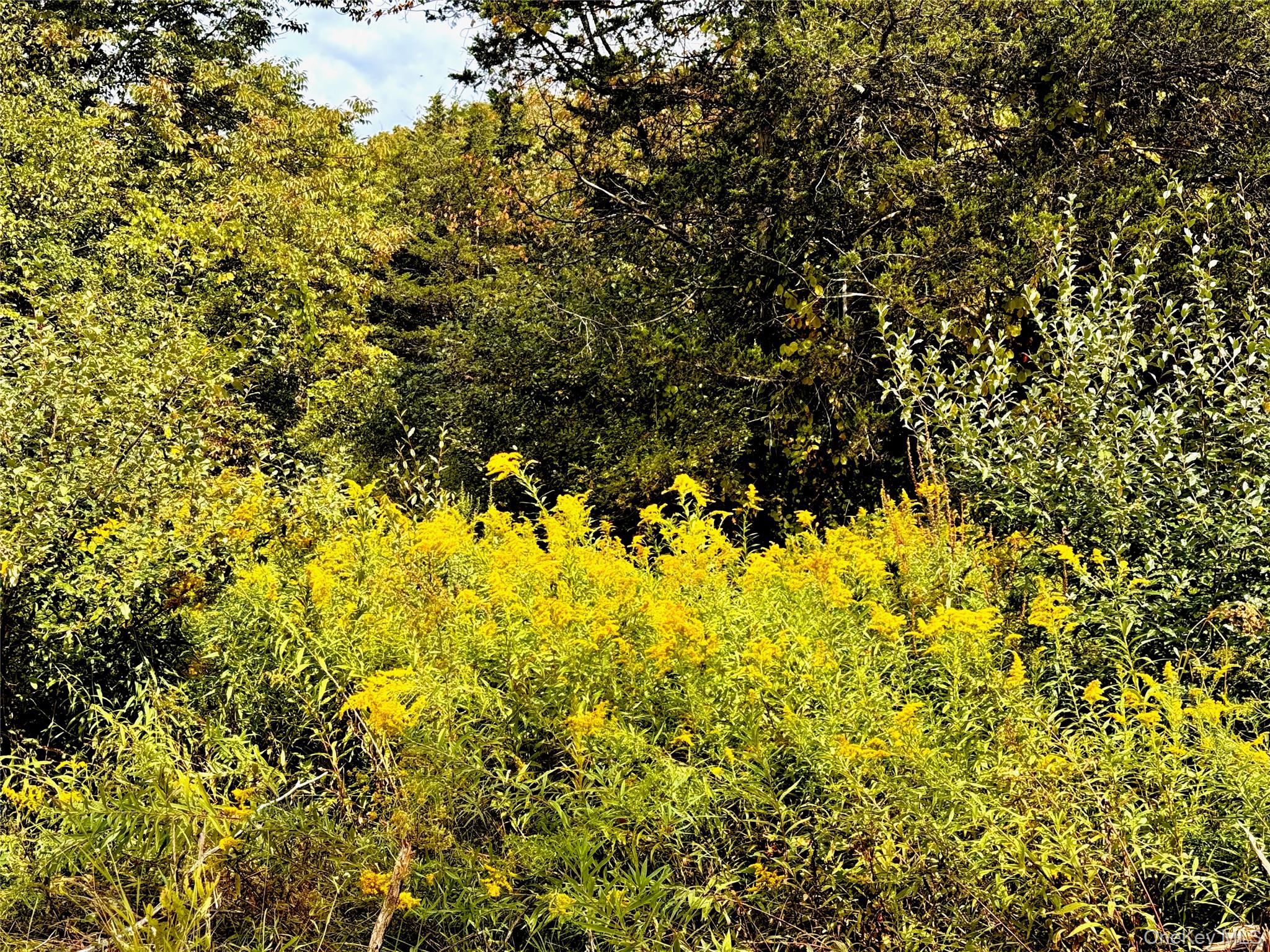 Lot 7 Stickles Road, Hudson, NY 12534