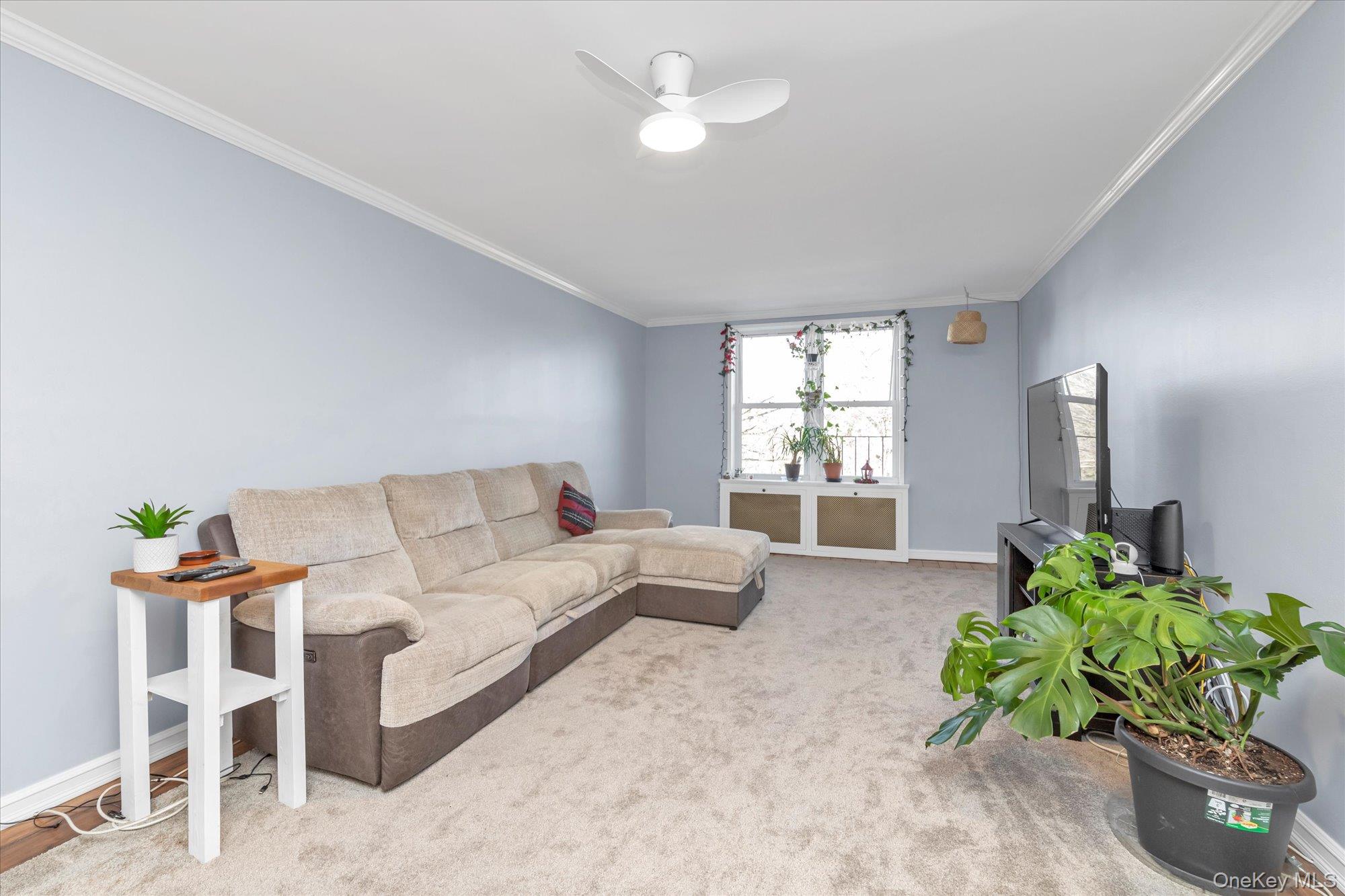 44-20 Douglaston Parkway # 6B, Douglaston, NY 11363