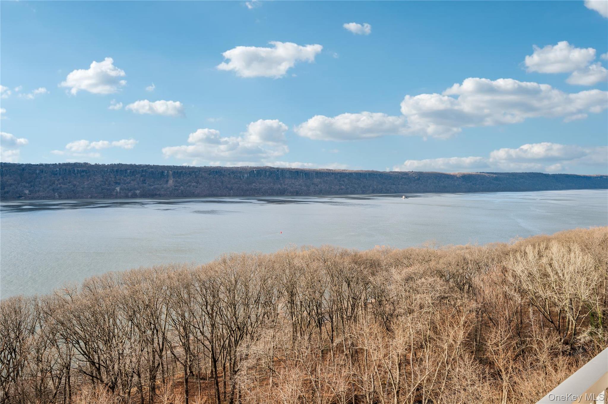 4455 Douglas Avenue # 12F, Bronx, NY 10471