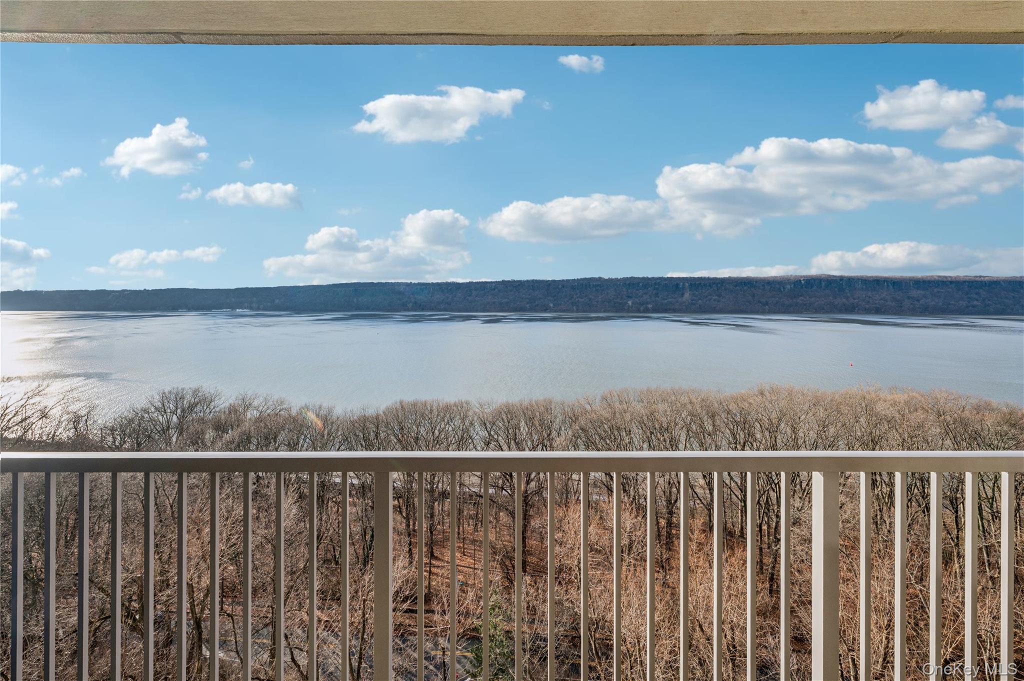 4455 Douglas Avenue # 12F, Bronx, NY 10471