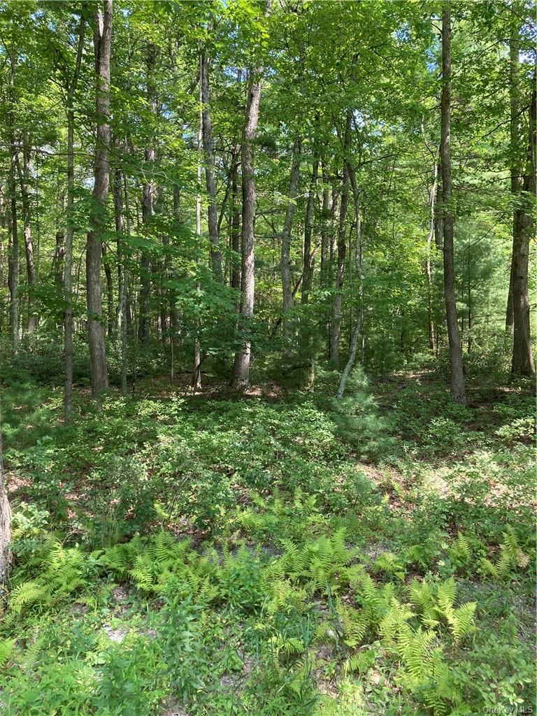 Allen Road, Wurtsboro, NY 12790