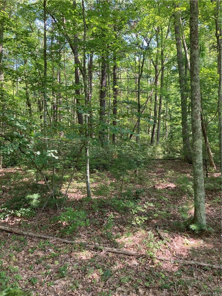 Allen Road, Wurtsboro, NY 12790