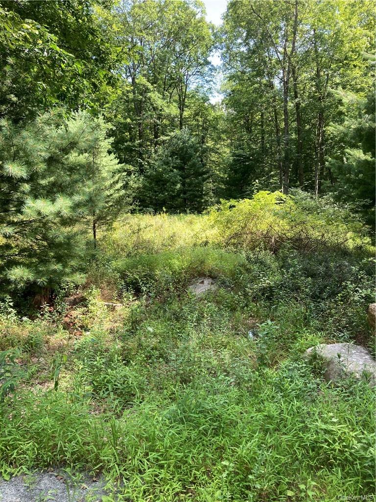 Allen Road, Wurtsboro, NY 12790