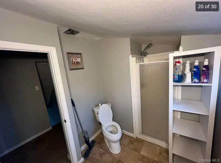 29 Pitchpine Place, Medford, NY 11763