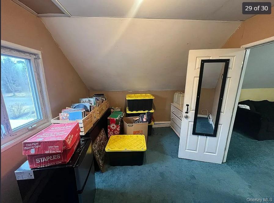 29 Pitchpine Place, Medford, NY 11763