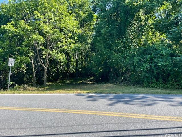 49 E Market Street, Hyde Park, NY 12538