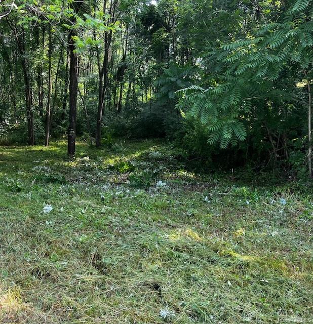 49 E Market Street, Hyde Park, NY 12538