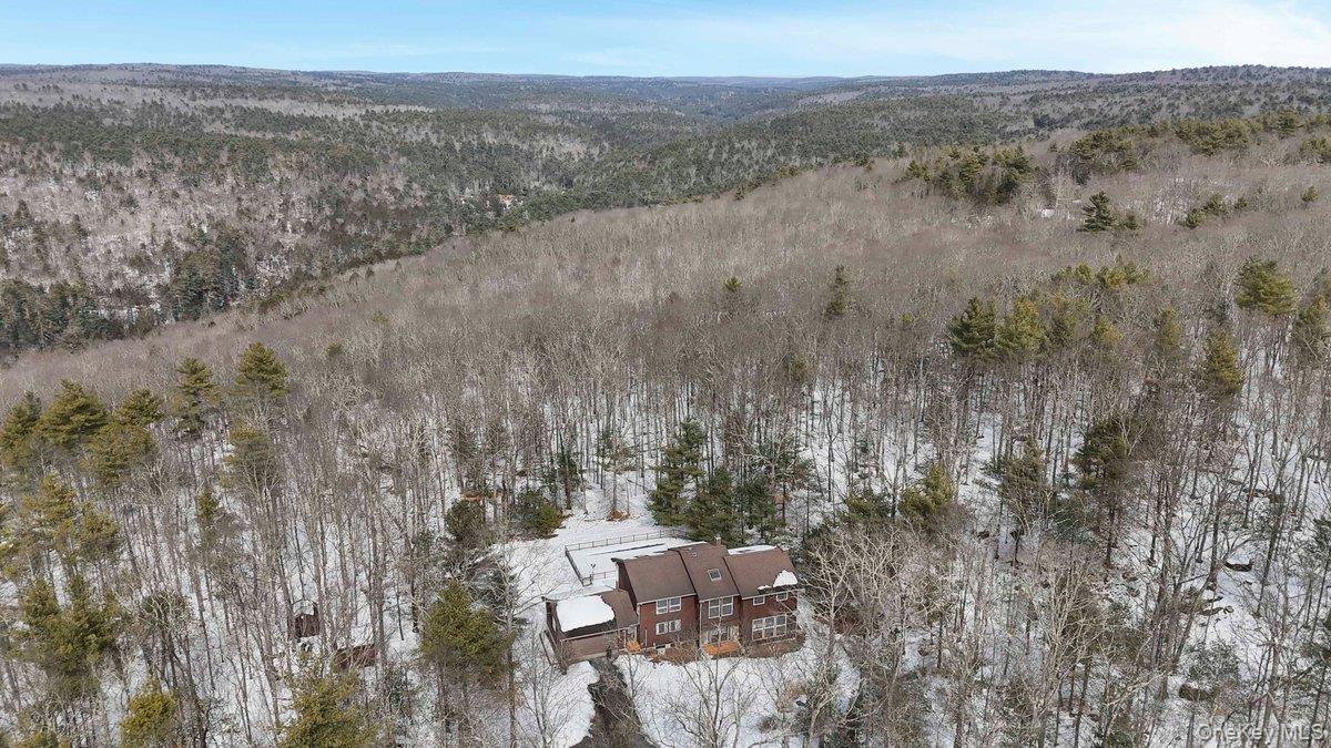 118 Split Rock Drive, Barryville, NY 12719