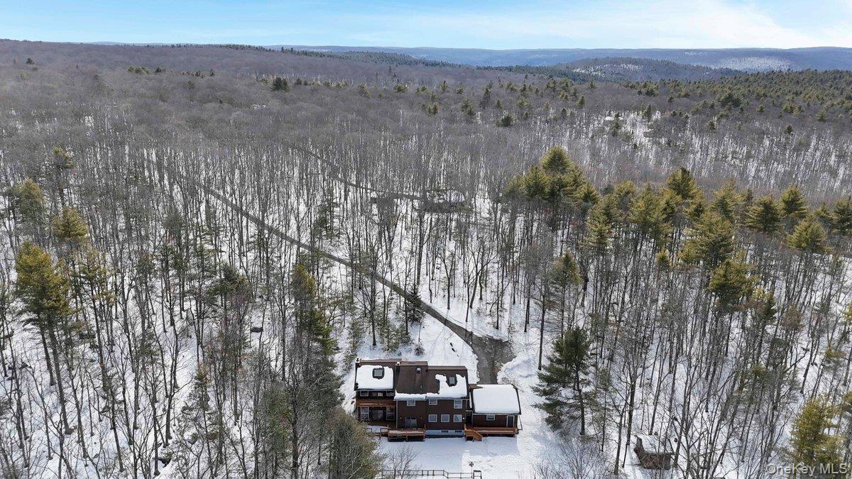 118 Split Rock Drive, Barryville, NY 12719