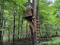 790 Oak, East Branch, NY 13783